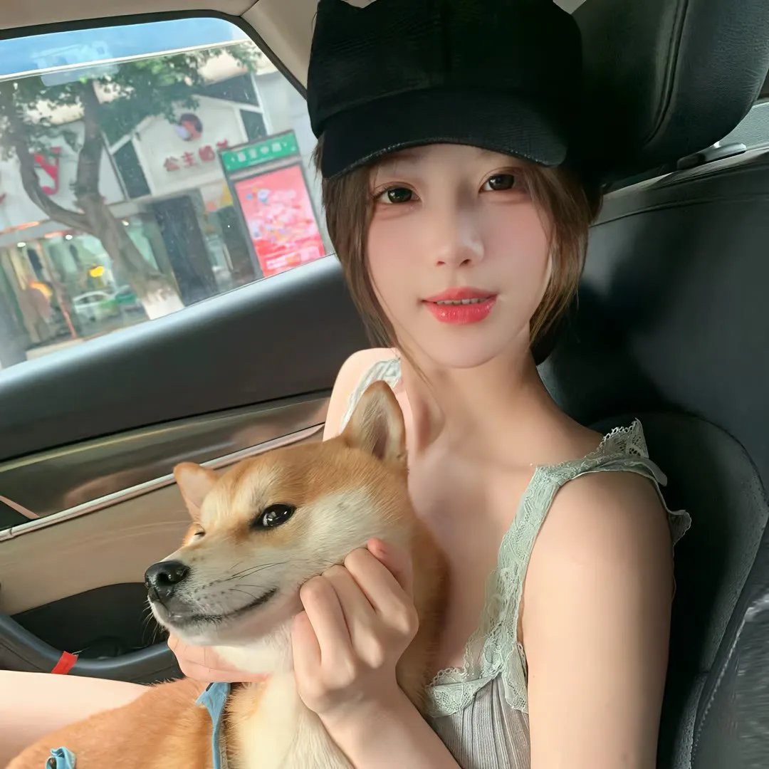 无懈可击